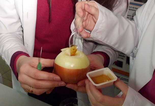 Boğaz ağrılarında kesin ve doğal çözüm - Resim: 1