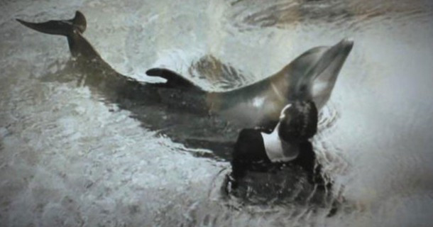 Yunuslarla seks yaptım dedi ortalık karıştı! - Resim: 4