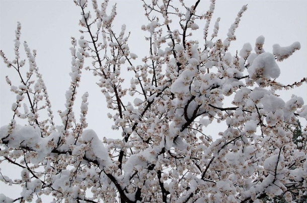 Hayatı felç eden ''kar''a bir de böyle bakın! - Resim: 1