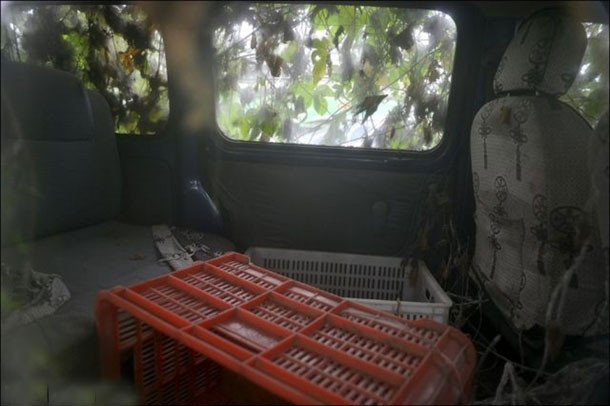 Çalılıkların arasından çıkan şok etti - Resim: 3