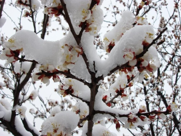 Hayatı felç eden ''kar''a bir de böyle bakın! - Resim: 4