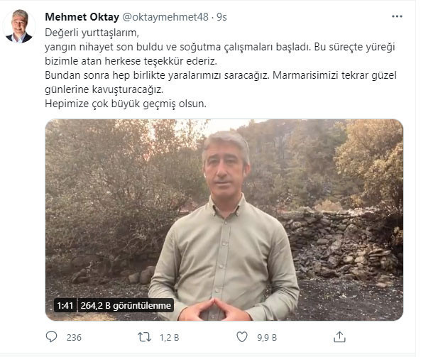 Bodrum, Marmaris, Köyceğiz, Milas yangınlarında son durum Bakan Pakdemirli güzel haberi duyurdu - Resim: 5