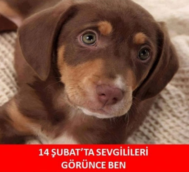 Sosyal medyayı sallayan 14 Şubat Caps´leri - Resim: 4