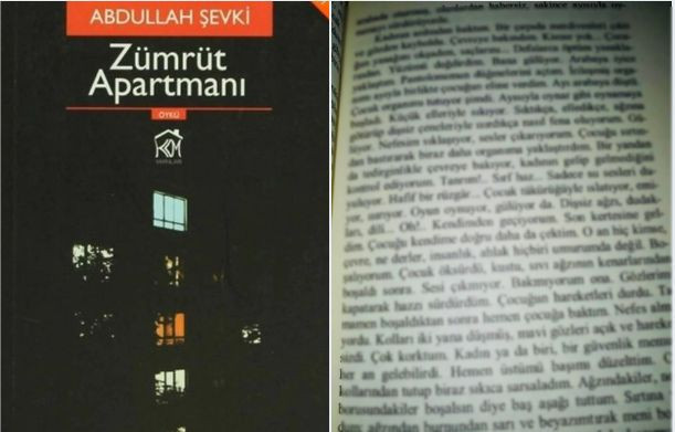 Zümrüt Apartmanı kitabı içeriği ne yazıyor skandal pedofili sözleri - Resim: 2