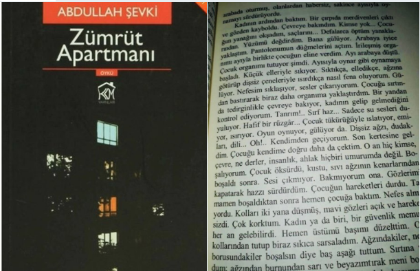 Zümrüt Apartmanı yazarı Abdullah Şevki'nin 'At kıçı' şiiri de sapkınca - Resim: 1