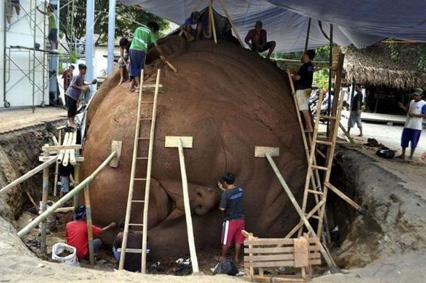 Bu karelere hayran kalacaksınız - Resim: 4