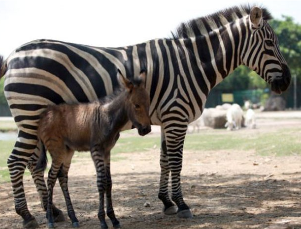 Bu fotoğraflar sizi büyüleyecek - Resim: 2