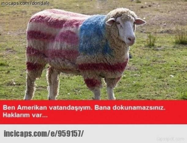 En komik kurban bayramı capsleri krize gireceksiniz - Resim: 3