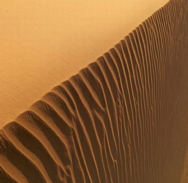 National Geographic'in en iyileri - Resim: 3