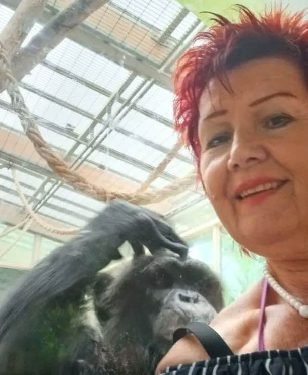 Hayvanat bahçesinde şempanzeyi 4 yıldır ziyaret eden kadının hayvanı görmesi yasaklandı - Resim: 0