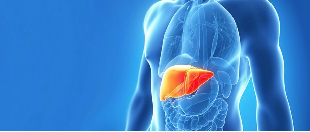 Karaciğerinizde detoks etkisi yaratacak besinler... - Resim: 1