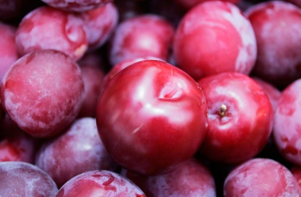 Kırmızı erik tam bir sağlık deposu! - Resim: 1