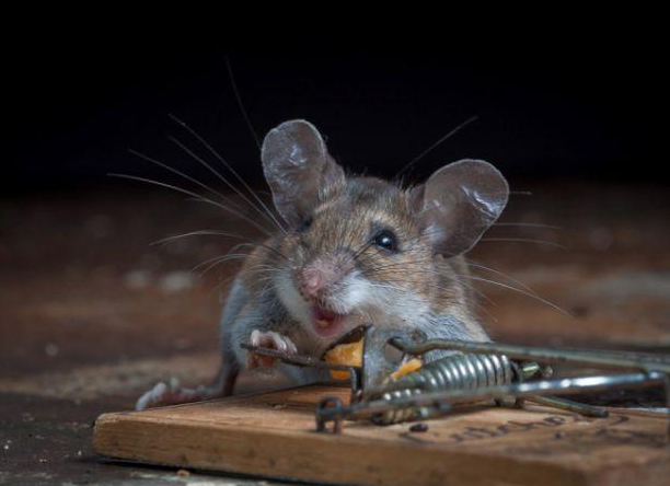 Tam o anda çekildi - Resim: 3