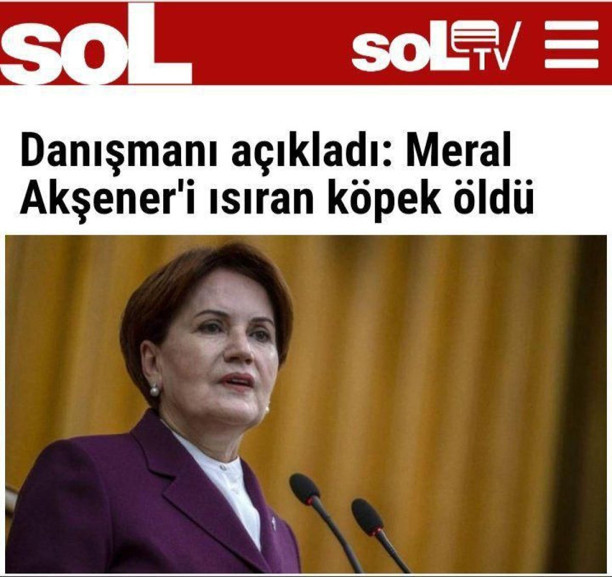 Akşener'i ısıran köpeğin öldüğünü küstah bir üslupla yazdılar - Resim: 0