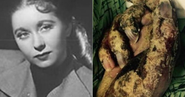 Eski sunucunun korkunç ölümü! Böceklere yem oldu - Resim: 1