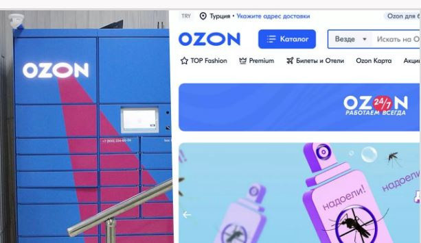 Rus e-Ticaret devi Ozon, Türkiye pazarına resmen girdi: İlk ofisi açtılar - Resim: 0