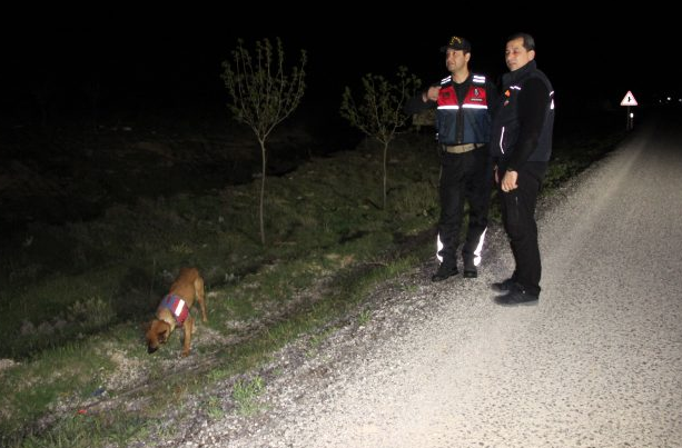 Ailesi kaybolduğunu sandı! 10 saatin sonunda evin yakınında uyurken bulundu - Resim: 0