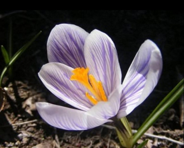 En değerli maddeler! Gramı trilyon dolar...  - Resim: 1