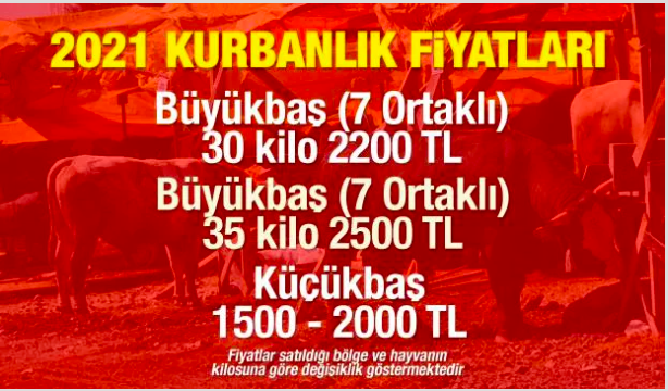 Büyükbaş kurbanlık fiyatı 2021 koç hisse fiyatı kaç para? - Resim: 0
