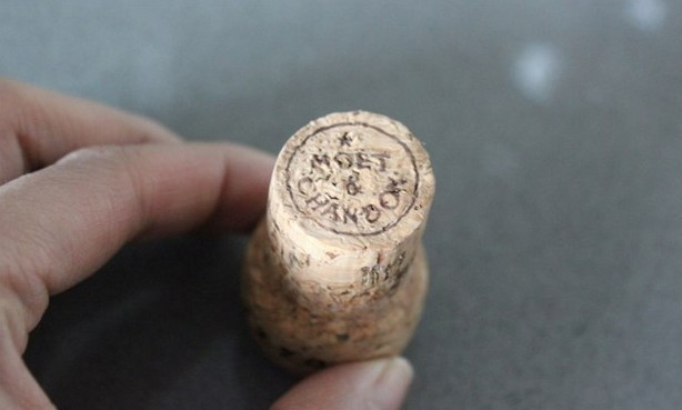 Mantarı kesti biçti... Sonuç herkesi şaşırttı - Resim: 2