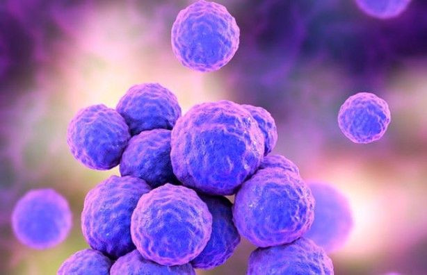 Oruç tutmanın vücuda faydası oruç tuttuğumuzda vücudumuzda bunlar oluyor - Resim: 4