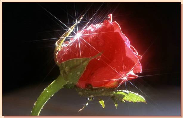 Allah'ın özel olarak işaret ettiği kullar - Resim: 2