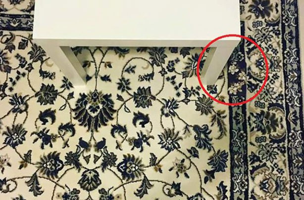 Bu bacaklarda ne görüyorsunuz? - Resim: 4