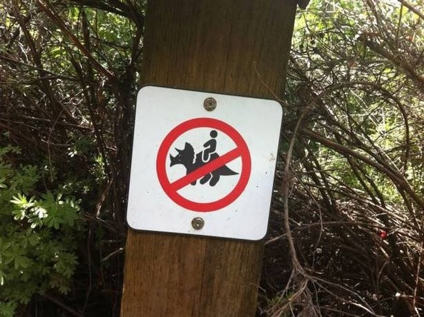 Ünlü şarkıcının tüm dünyaya rezil olduğu an - Resim: 2