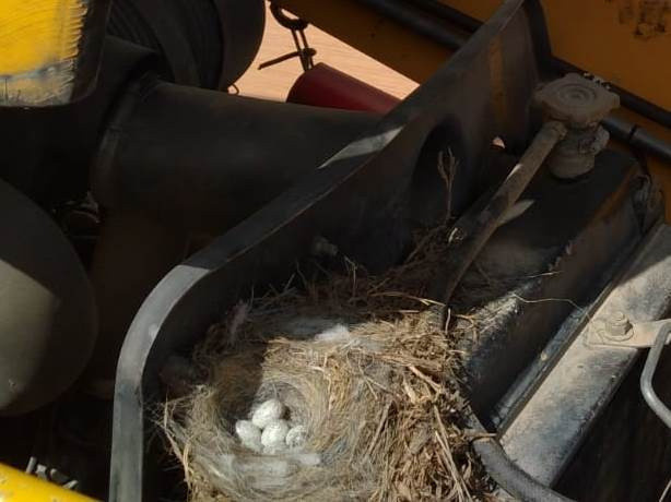 Van'da iş makinesi sahibinin eli kolu bağlandı sürekli takip ediyordu - Resim: 0