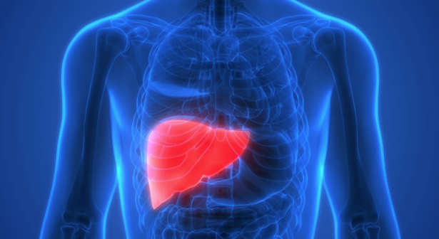 Karaciğer kanseri nedenleri ve dikkat edilmesi gerekenler - Resim: 0