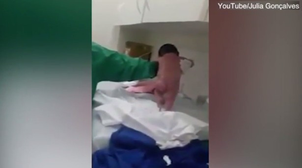 Mucize bebeğe bakın doğar doğmaz yürümeye başladı - Resim: 1