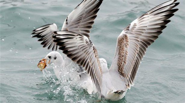 Bunları Biliyor musunuz?  - Resim: 1
