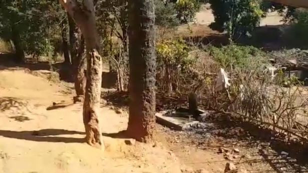 Eltisinin kızının boğazını kesip kanını içti! - Resim: 3