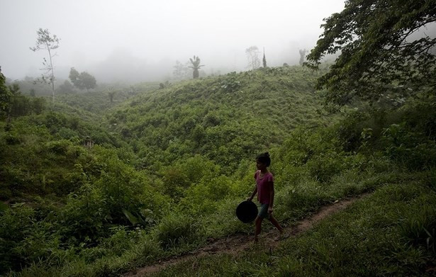 Çikolatayı sadece zenginler yiyebilecek - Resim: 1