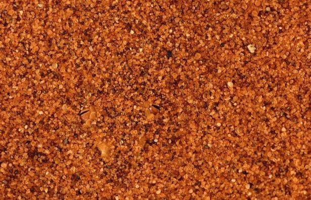 Fotoğraftaki yılanı görebiliyor musunuz? Kimse bulamıyor - Resim: 4