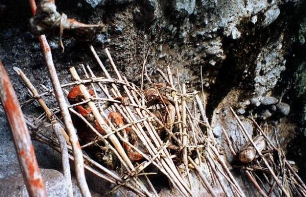 Kan donduran gelenek insanları balık gibi pişirip... - Resim: 2