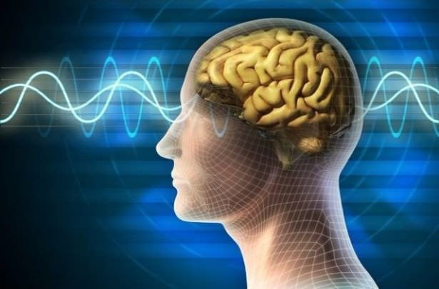 Alışverişteyken o müzik çalıyorsa beynin büyük oyunu - Resim: 2