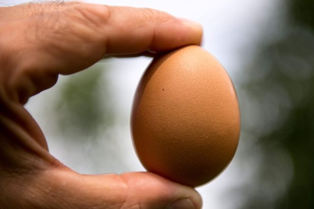 Diyet yapamıyorsanız tok tutan yiyecekler yiyin - Resim: 1