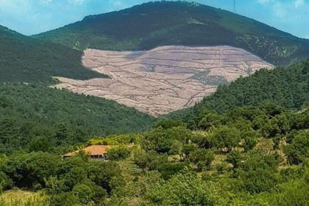 Kaz Dağları'nda siyanürlü altın açıklaması Şahan Gökbakar'ı çileden çıkardı - Resim: 2