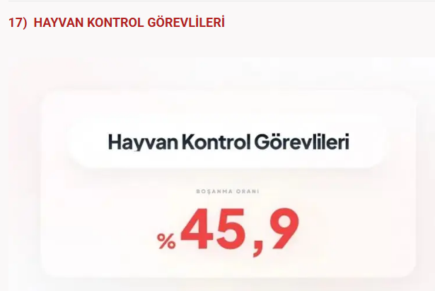Bu meslekler boşanmanıza neden olabilir! Sağlık sektöründe çalışanlar... - Resim: 22