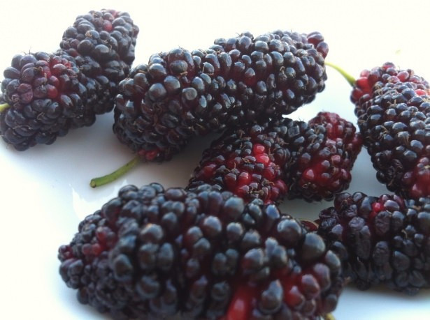 Yaz meyvelerinin mucizelerine şahit olun - Resim: 4