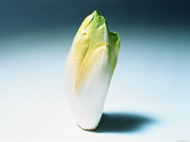 Burcunun Şifalı Otunu Biliyor Musun? - Resim: 4