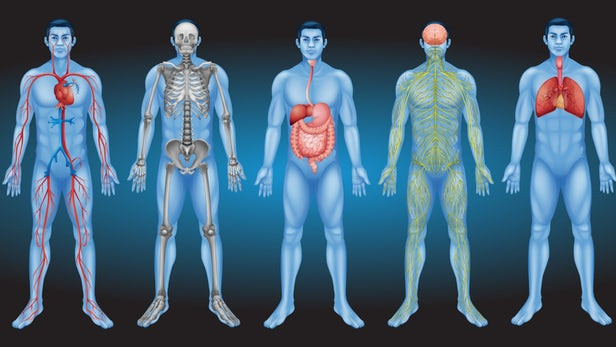 Dondurulan bedenler canlandırıldı  - Resim: 3