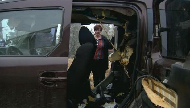 Aç ayı arabayı yedi - Resim: 1