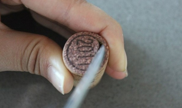 Mantarı kesti biçti... Sonuç herkesi şaşırttı - Resim: 4