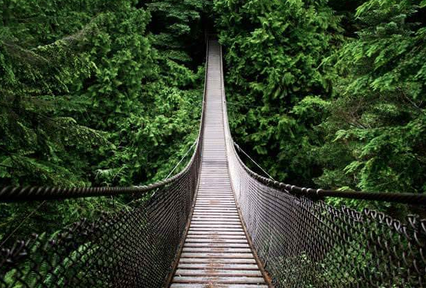 Brezilya'nın yeni devlet başkanı Bolsonaro'dan dünyayı şoke eden karar - Resim: 4