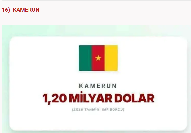Türkiye'nin borcu açıklandı: IMF'ye en çok borcu olan ülkeler belli oldu - Resim: 18