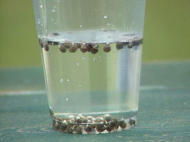 Tohumu sebzesi kadar  faydalı - Resim: 4