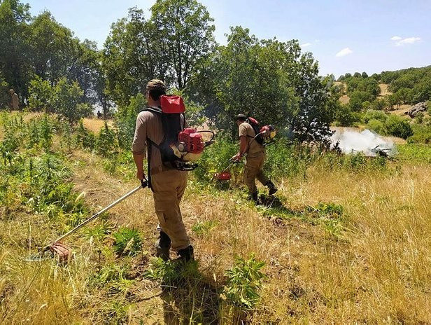 Diyarbakır'da zehir tacirlerine operasyon! 83 farklı noktada ele geçirildi - Resim: 1