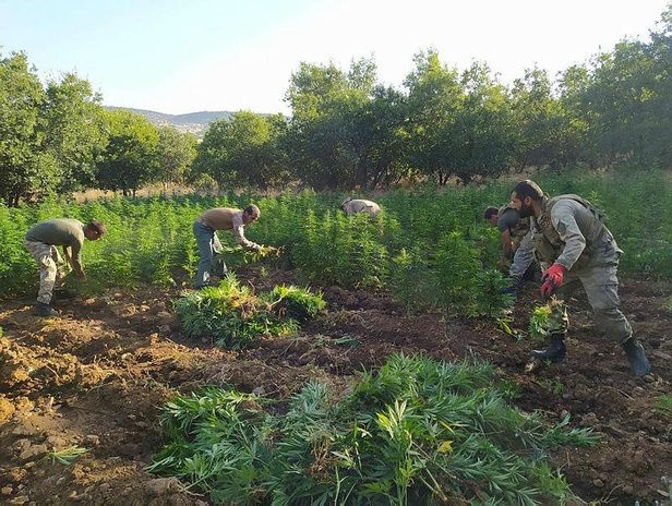 Diyarbakır'da zehir tacirlerine operasyon! 83 farklı noktada ele geçirildi - Resim: 0